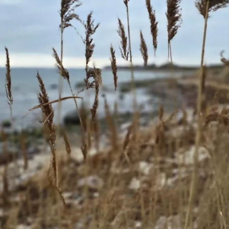 2 Schlafzimmer Appartement *
